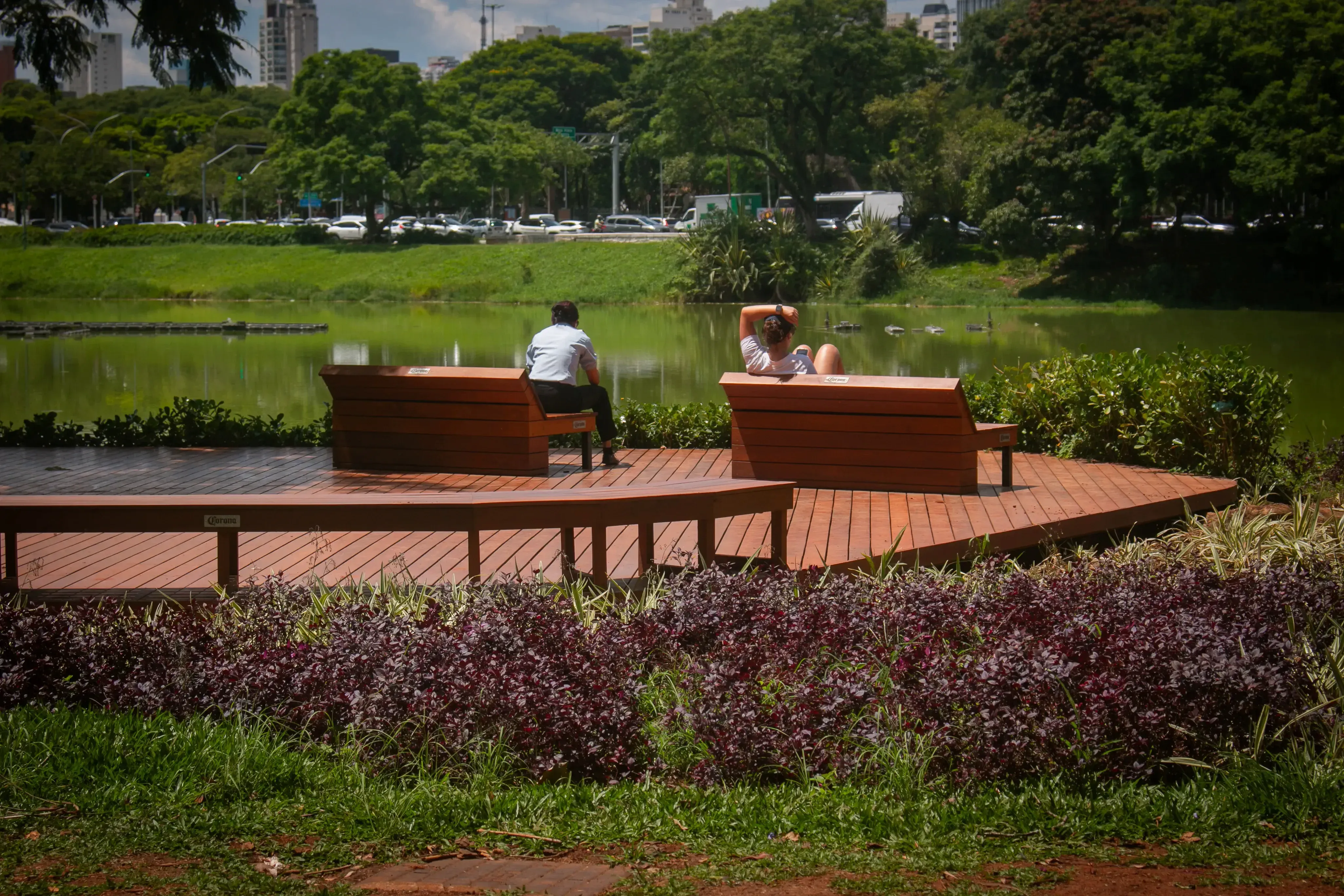 People relaxing on wooden benches by a green lake in a city park