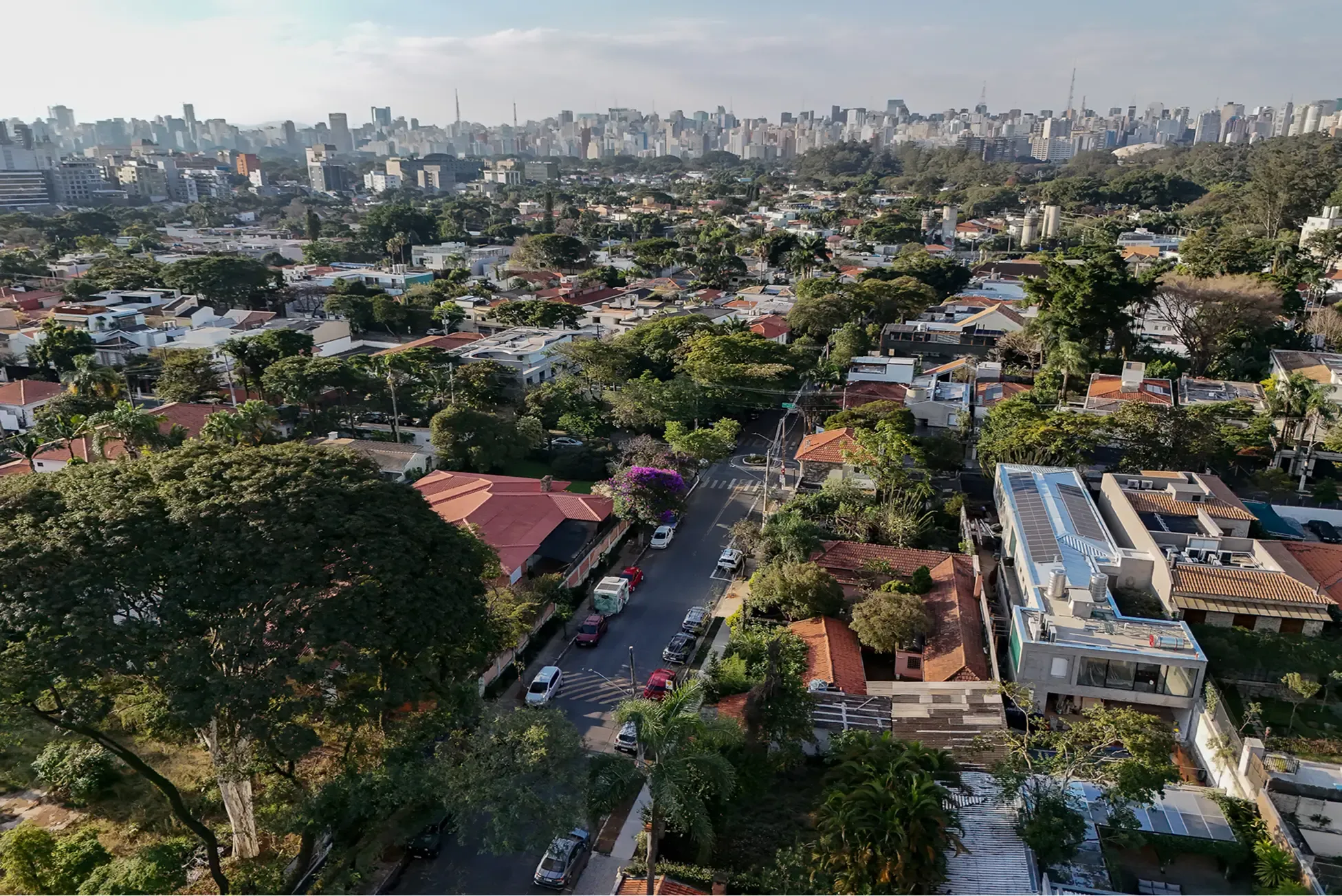 Aerial view of a leafy neighborhood with red roofs and a distant city skyline