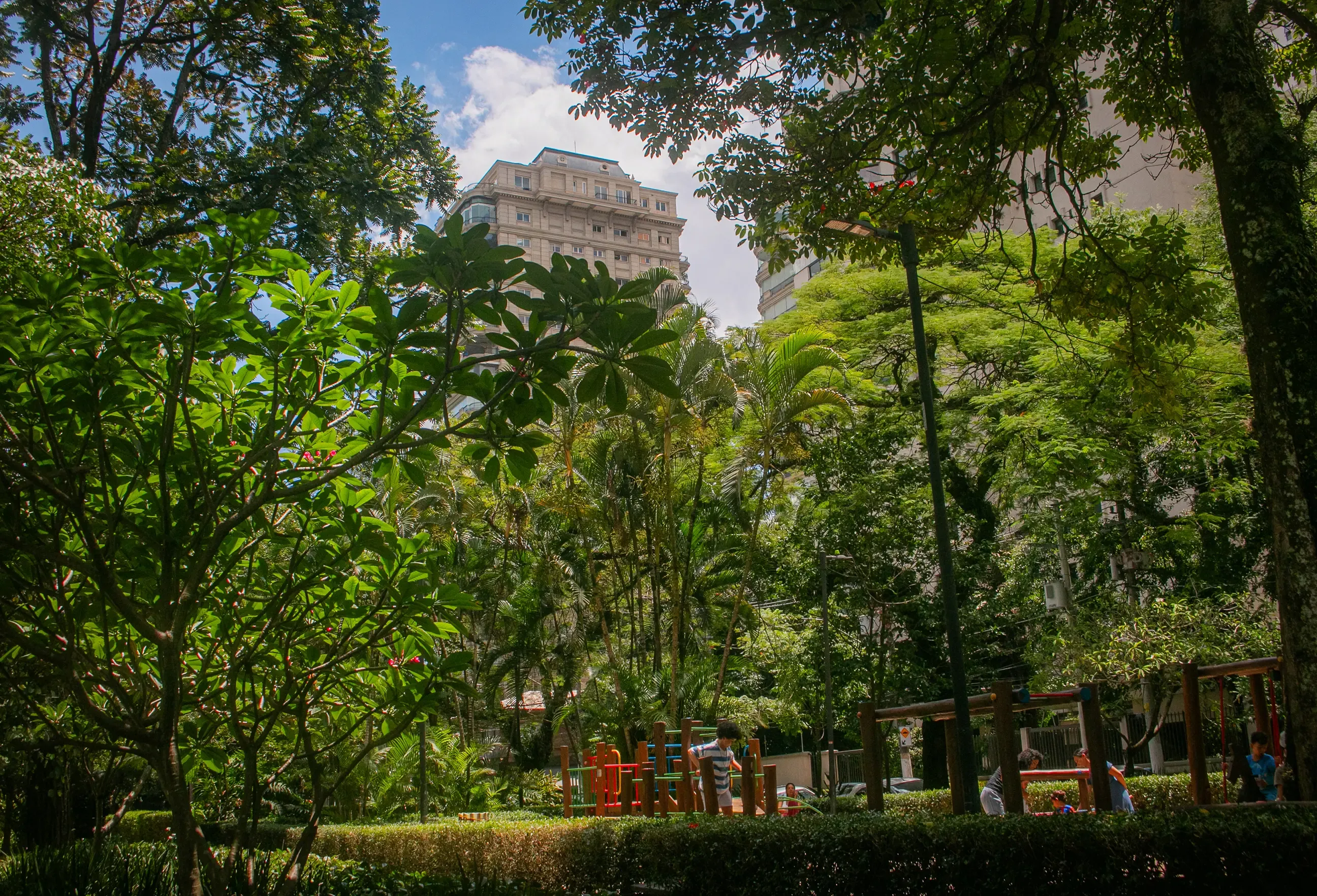 Lush city park with a playground, framed by tall trees and a residential tower