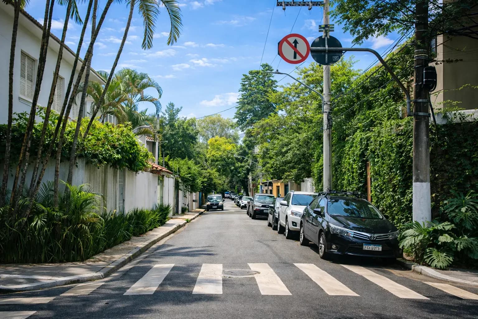 Leafy residential street with parked cars and a crosswalk in Pinheiros