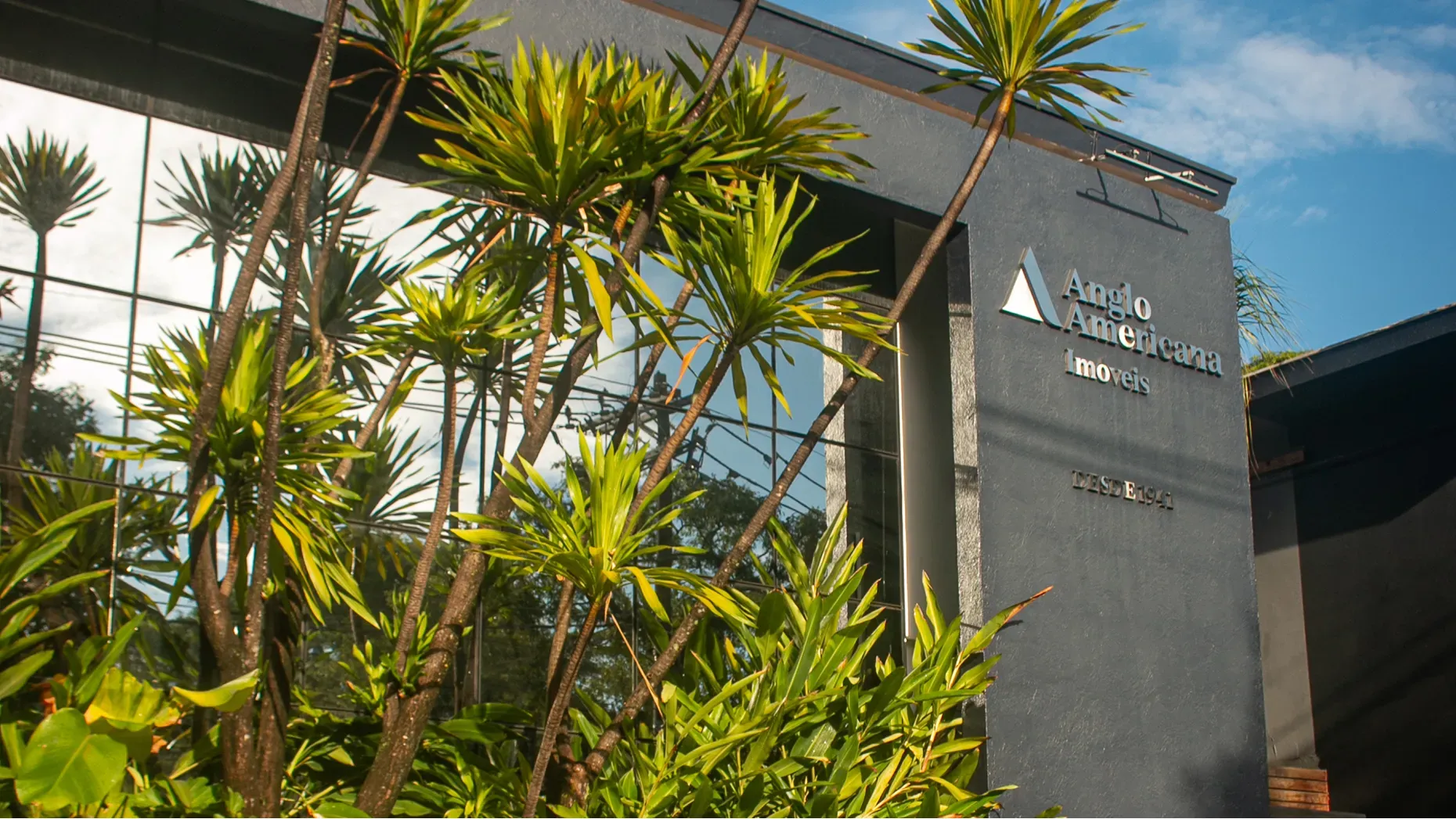 Anglo Americana office building partially framed by tall tropical plants
