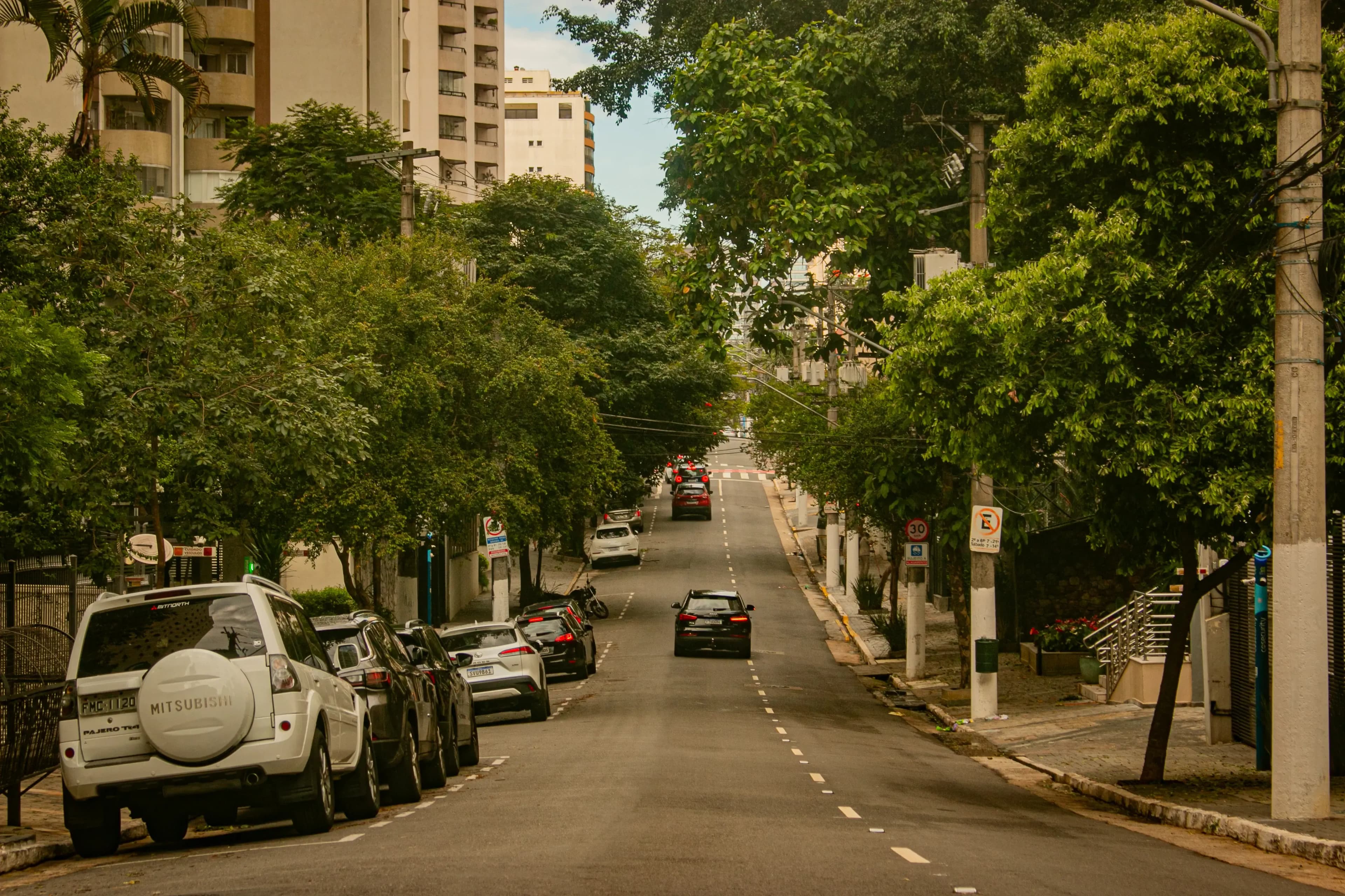 Tree-lined street in Moema with parked cars and residential buildings in the background