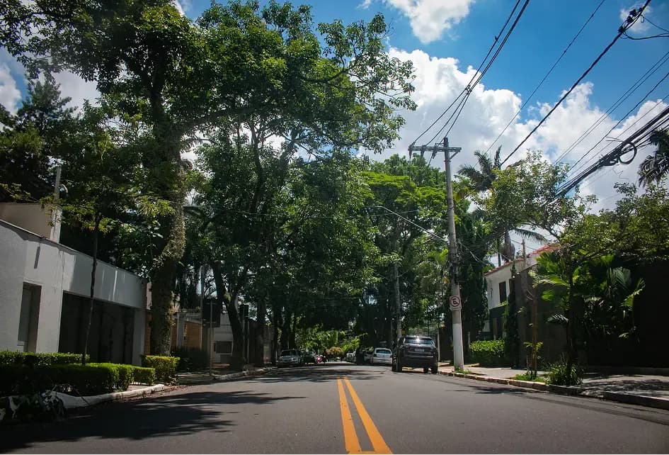 Quiet leafy street with power lines and low-rise homes